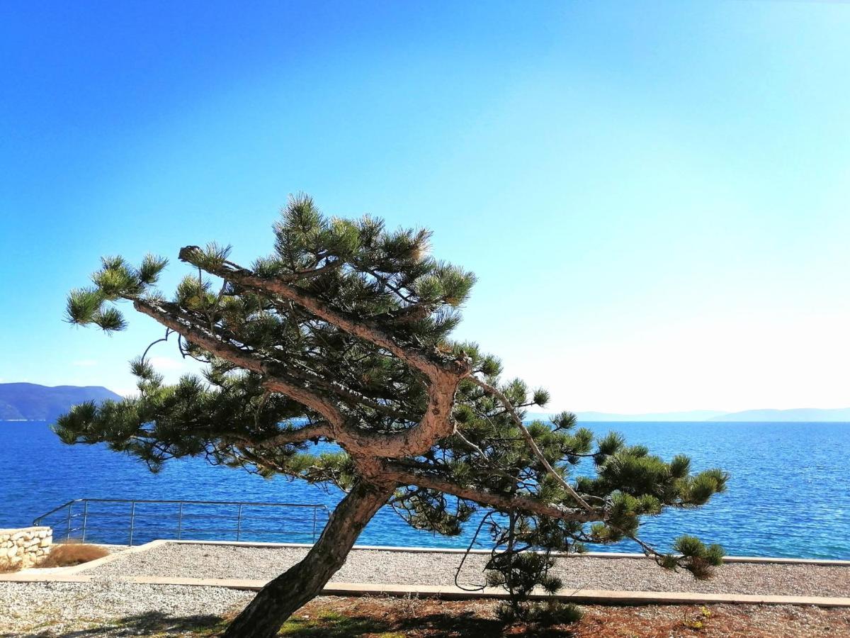 Studio Apartment Michelle - Intermezzo With Sea View Rabac Eksteriør bilde